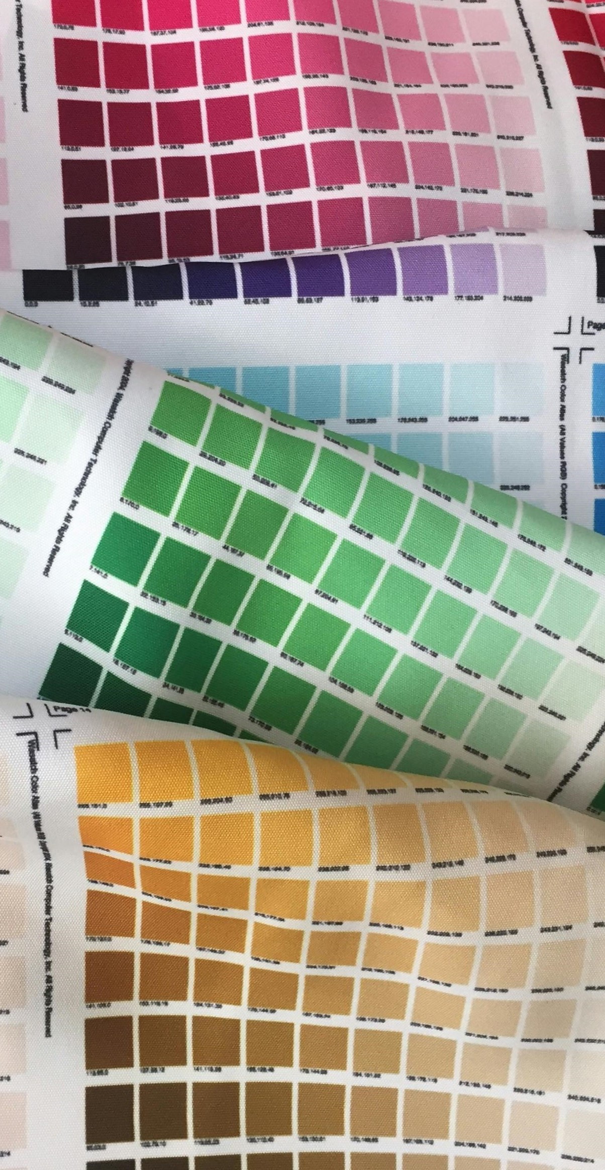 pexels-cherylanne-hsieh-2363868-5728271